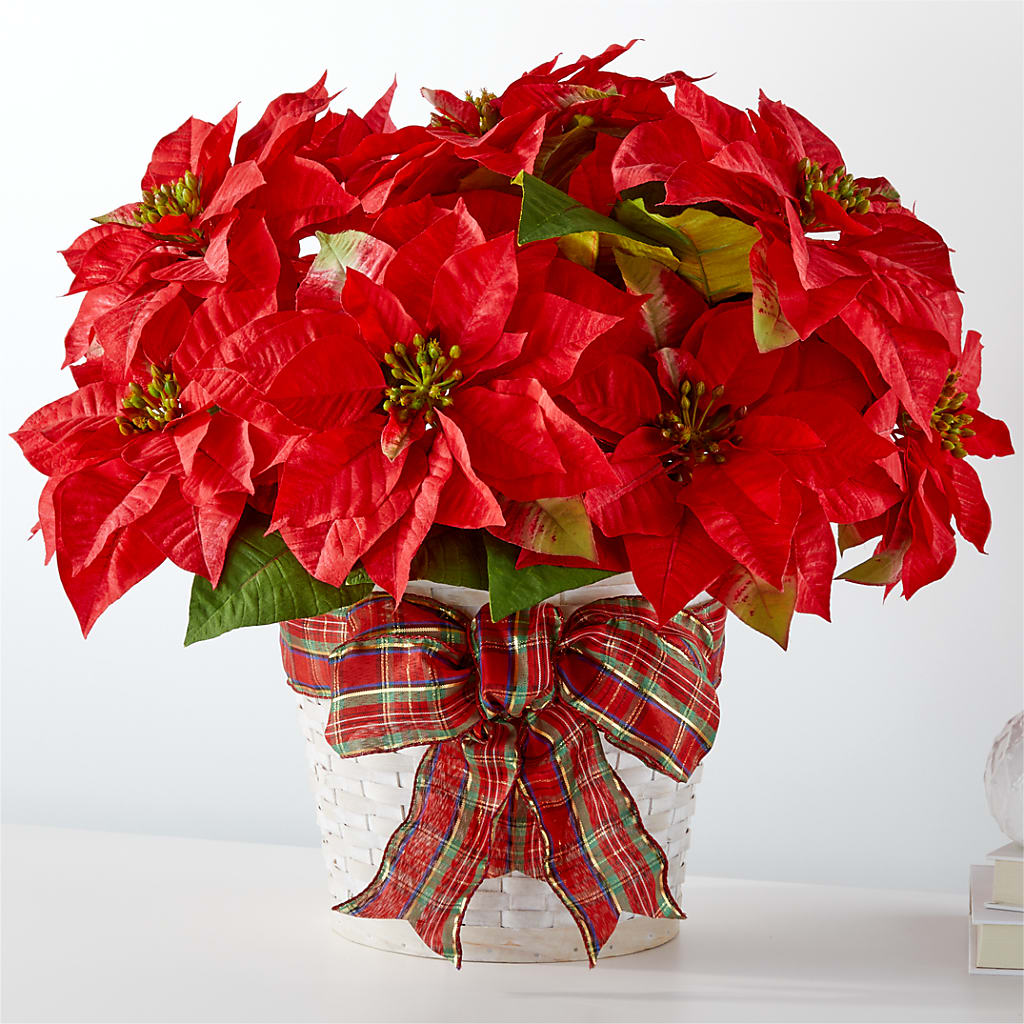 Happiest Holidays Poinsettia – Branch Floral Designs, Nyssa OR