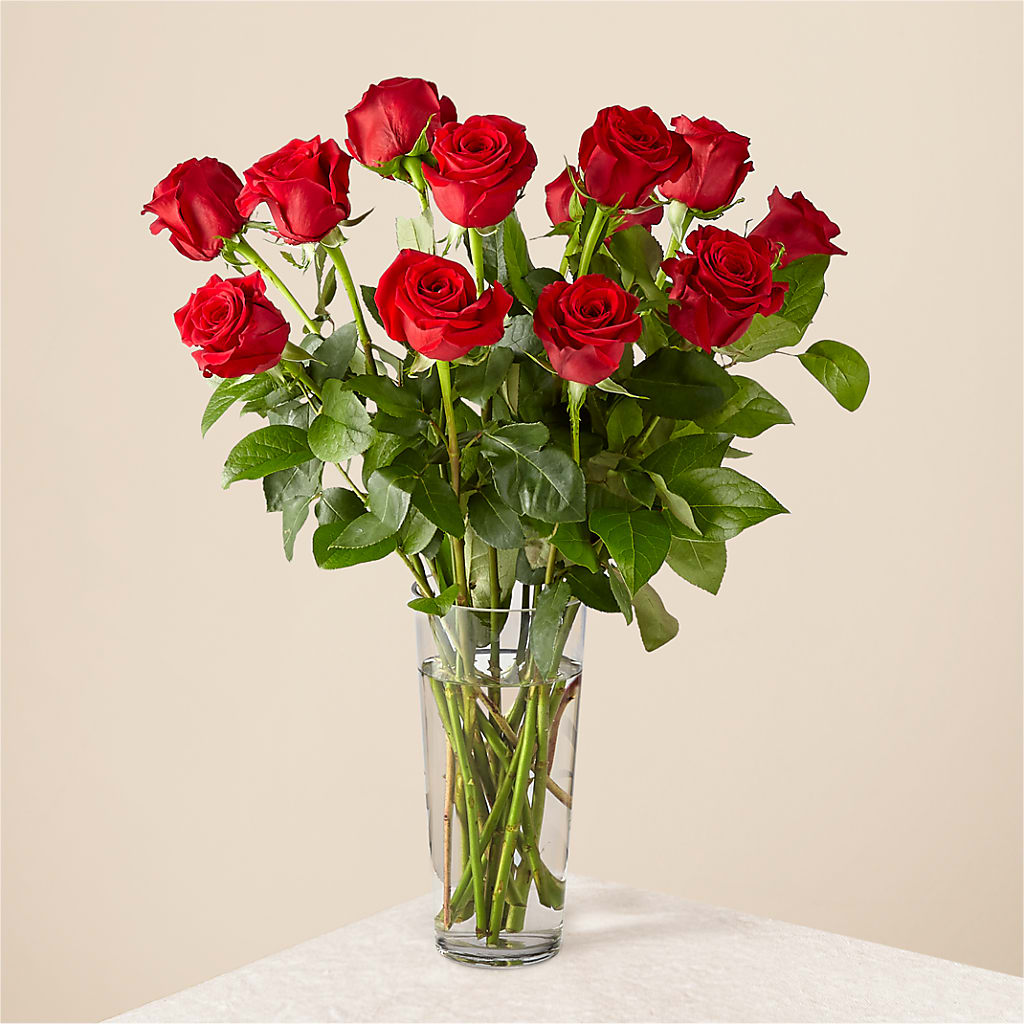 Long Stem Red Rose Bouquet – Branch Floral Designs, Nyssa OR