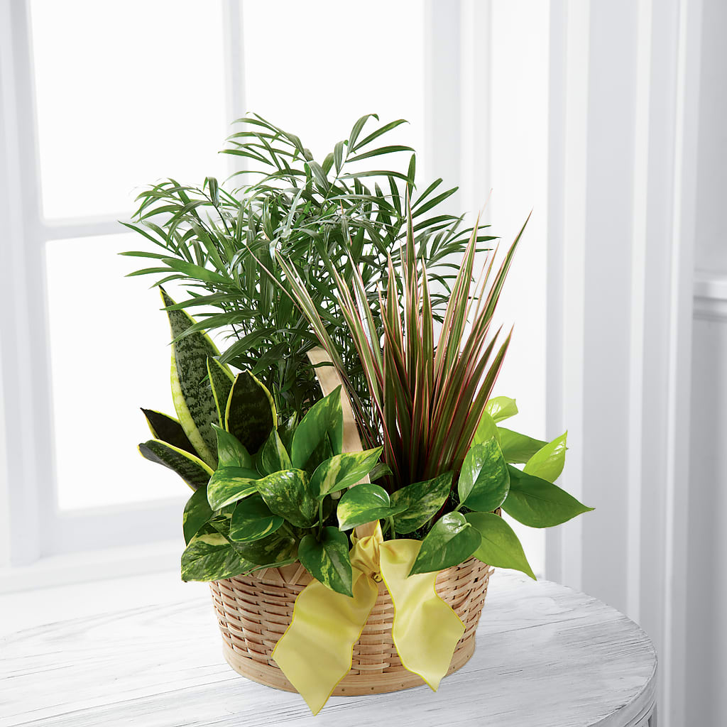 French Garden – Branch Floral Designs, Nyssa OR