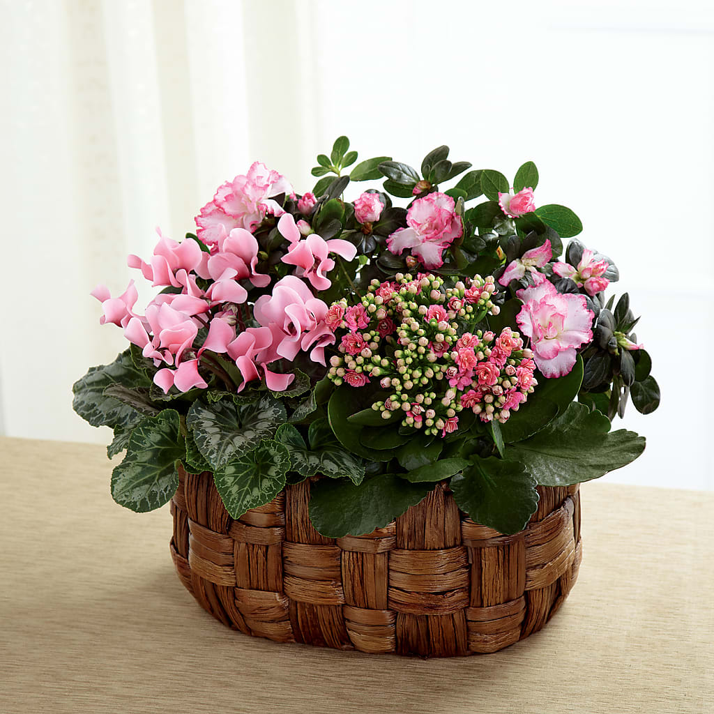 Pink Assortment – Branch Floral Designs, Nyssa OR