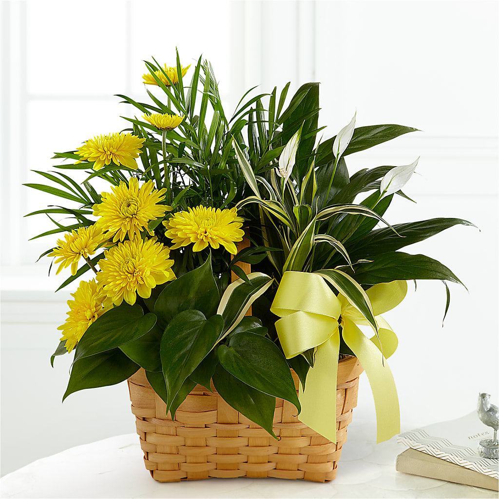 Loving Light Dishgarden – Branch Floral Designs, Nyssa OR