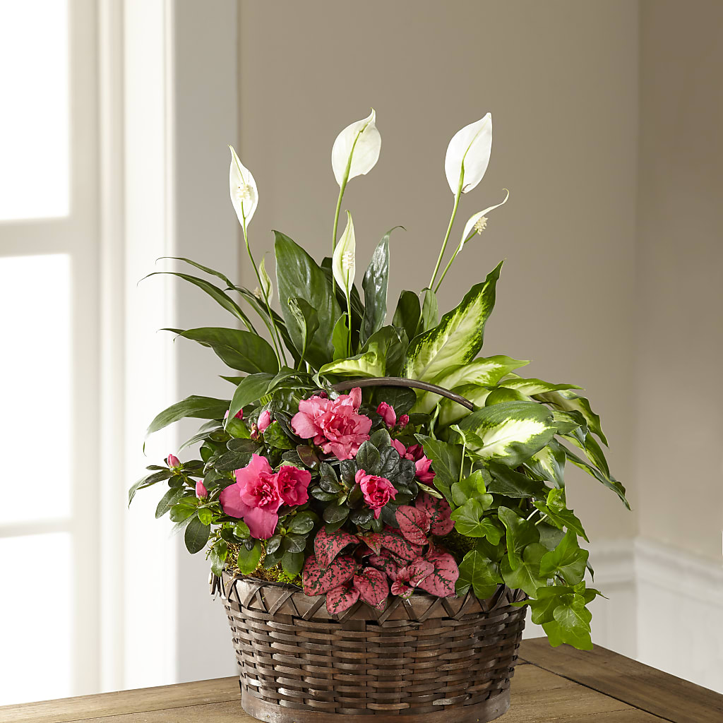 Dream in Pink Dishgarden – Branch Floral Designs, Nyssa OR