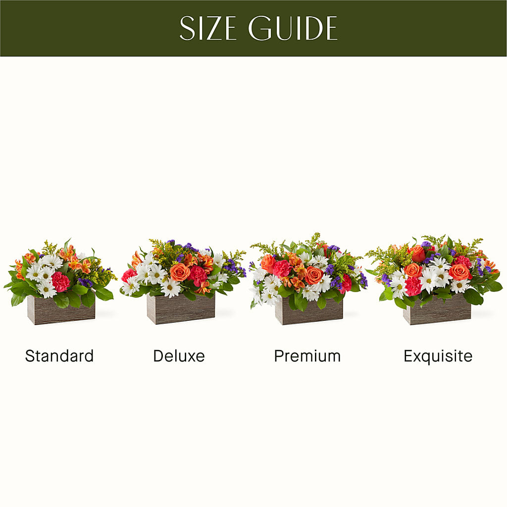 Oopsie Daisy Box Bouquet – Branch Floral Designs, Nyssa OR