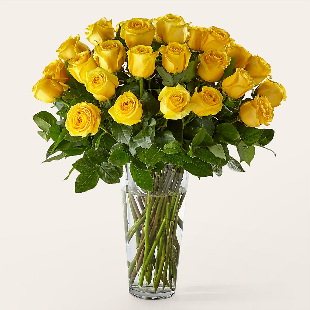 Long Stem Yellow Rose Bouquet – Branch Floral Designs, Nyssa OR