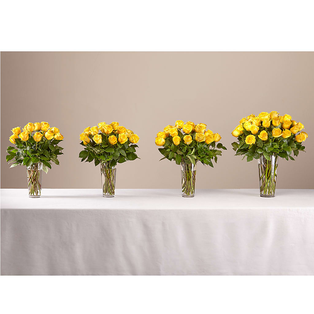 Long Stem Yellow Rose Bouquet – Branch Floral Designs, Nyssa OR