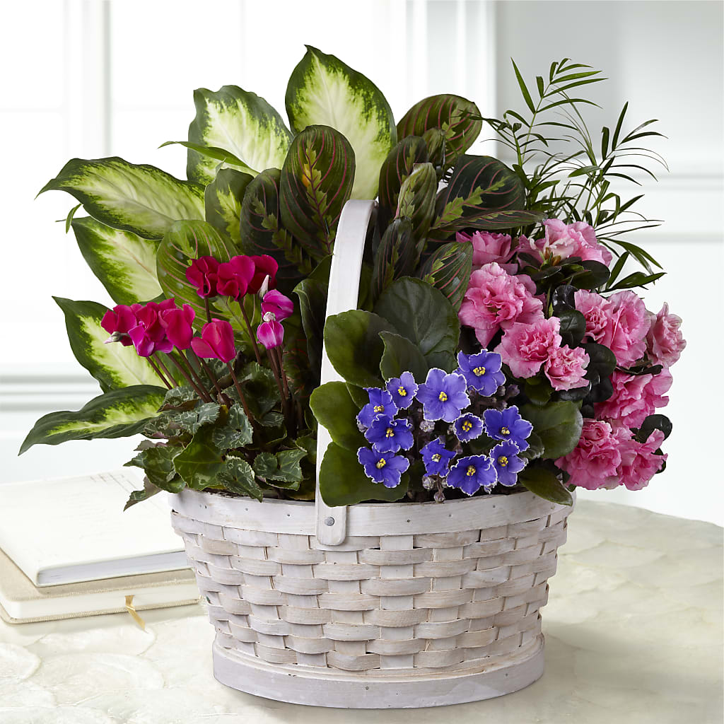 Peaceful Garden Planter – Branch Floral Designs, Nyssa OR