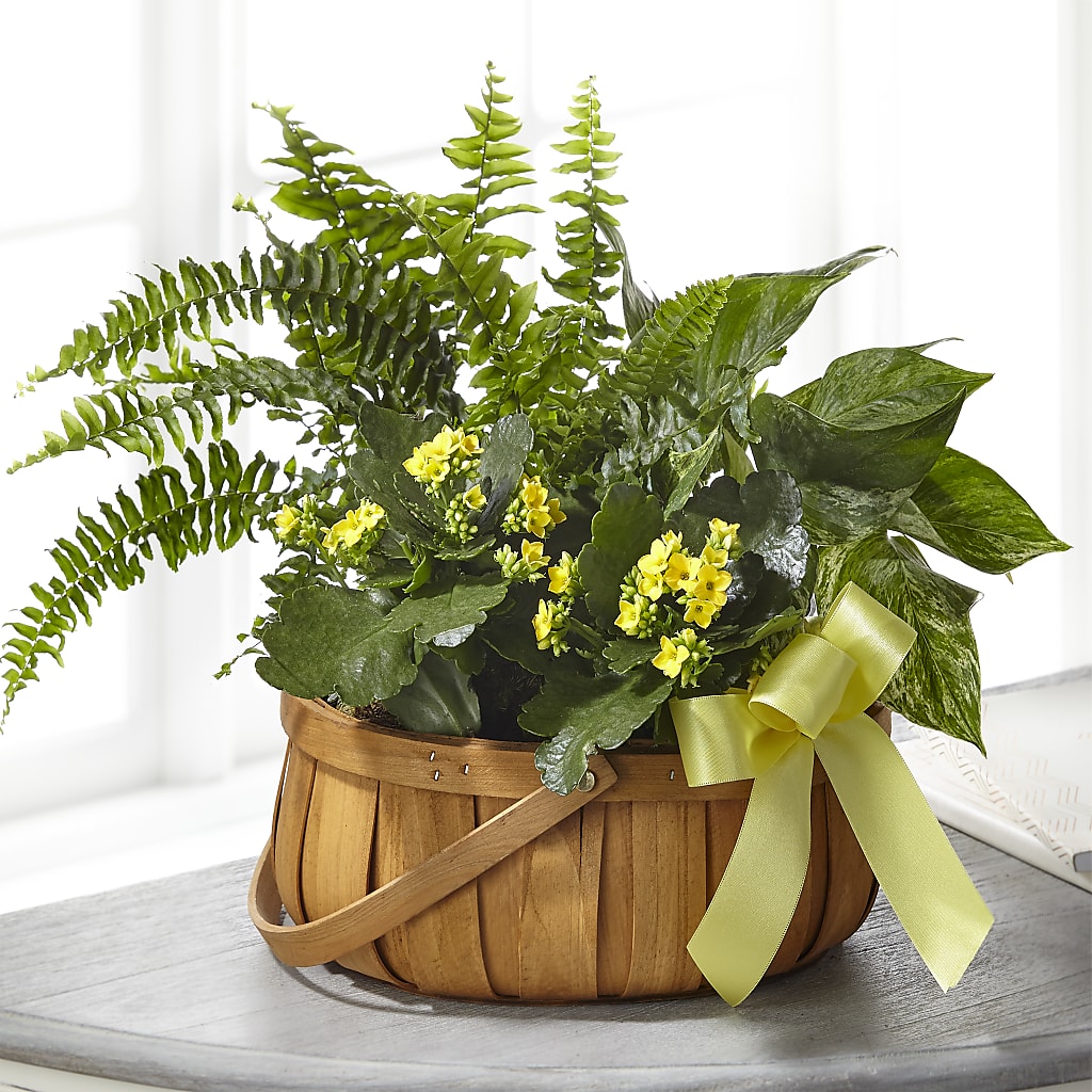 Always Dear Dishgarden – Branch Floral Designs, Nyssa OR
