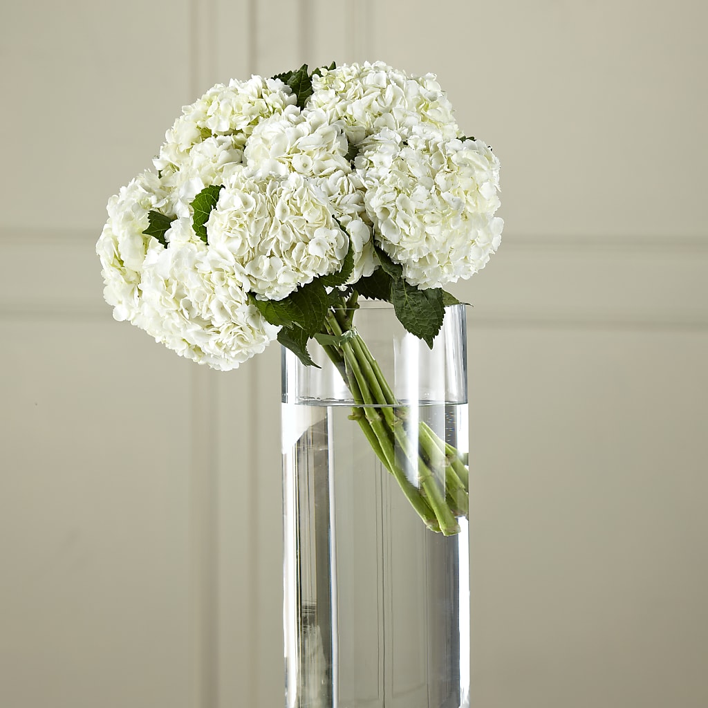 White Hydrangea Hand-Tied Bouquet – Branch Floral Designs, Nyssa OR