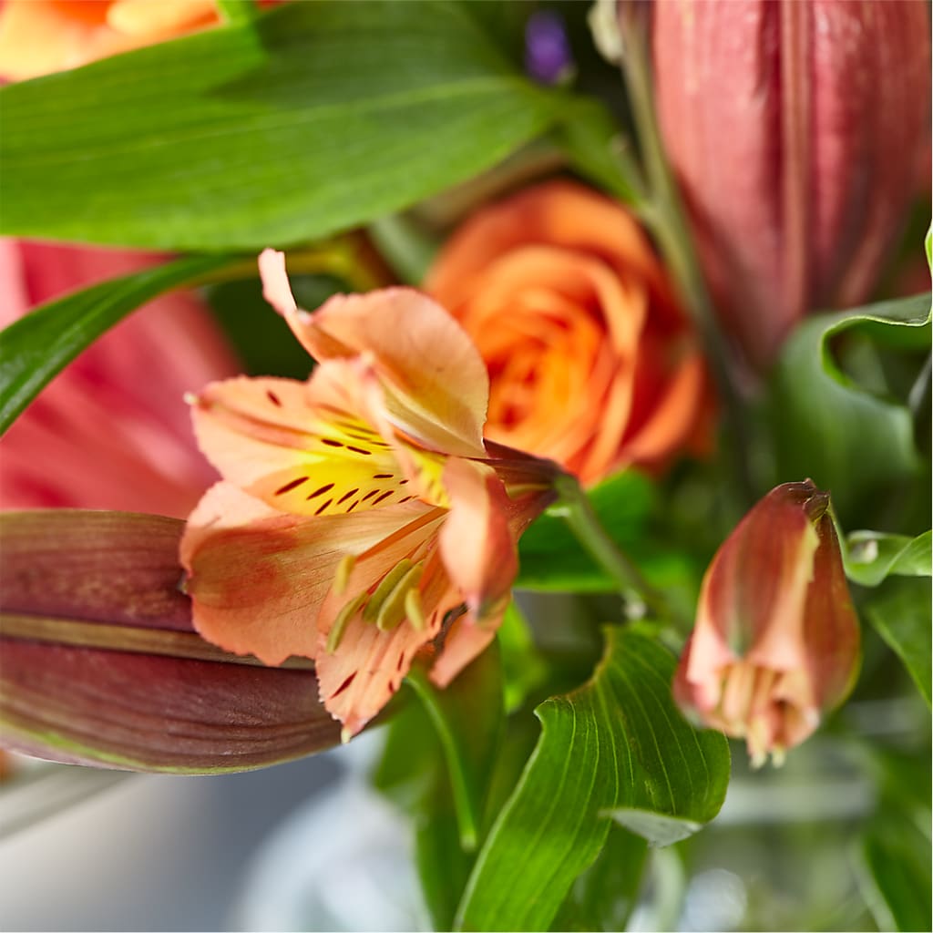 Bold & Bright – A Florist Original –  Branch Floral Designs, Nyssa OR