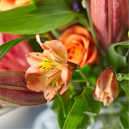 Bold & Bright – A Florist Original –  Branch Floral Designs, Nyssa OR