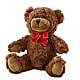 Adorable Plush Bear –  Branch Floral Designs, Nyssa OR