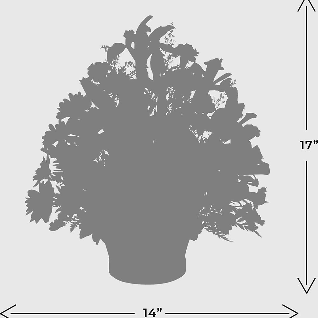 The Wondrous Nature Bouquet –  Branch Floral Designs, Nyssa OR