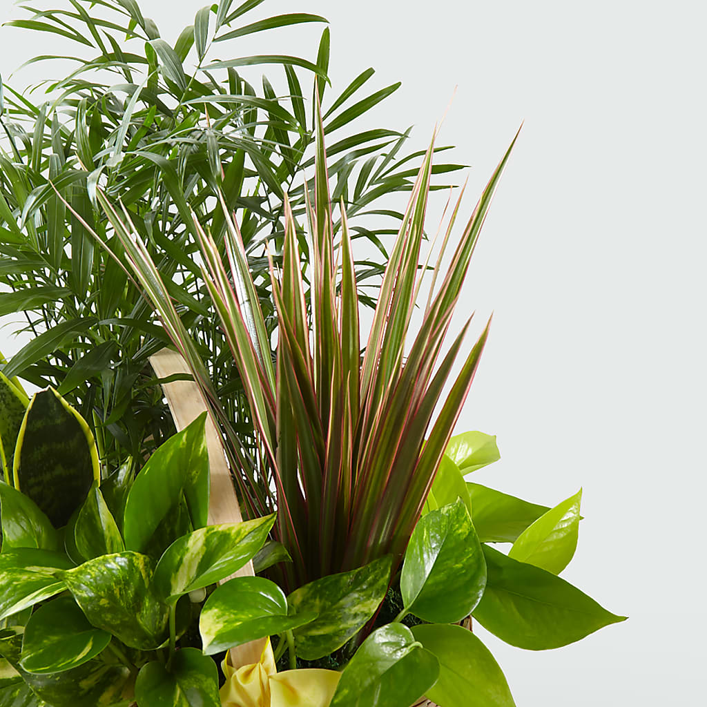 French Garden –  Branch Floral Designs, Nyssa OR