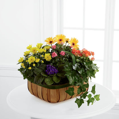 Gentle Blossoms Basket –  Branch Floral Designs, Nyssa OR
