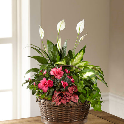 Dream in Pink Dishgarden –  Branch Floral Designs, Nyssa OR