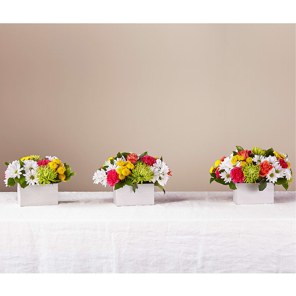 Sorbet Bouquet –  Branch Floral Designs, Nyssa OR