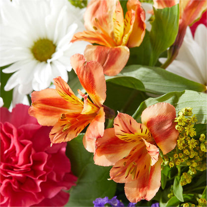 Oopsie Daisy Box Bouquet –  Branch Floral Designs, Nyssa OR