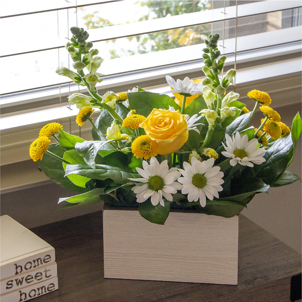 Sun Salutation Box Bouquet –  Branch Floral Designs, Nyssa OR