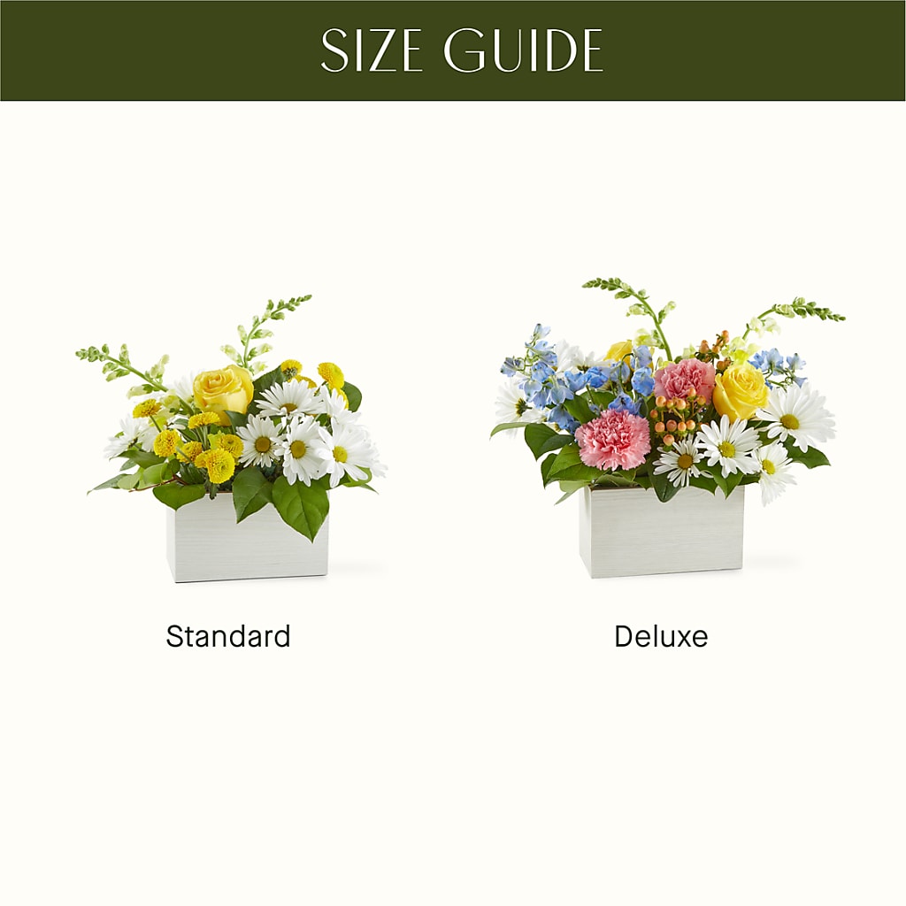 Sun Salutation Box Bouquet –  Branch Floral Designs, Nyssa OR