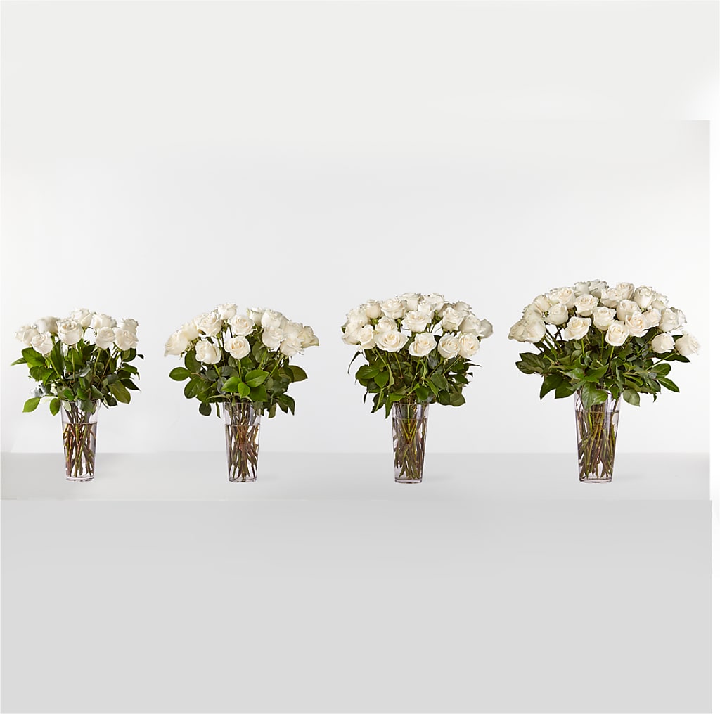 Long Stem White Rose Bouquet –  Branch Floral Designs, Nyssa OR
