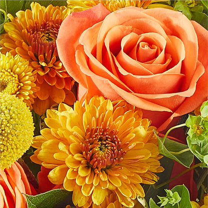 Gourdgeous Pumpkin –  Branch Floral Designs, Nyssa OR