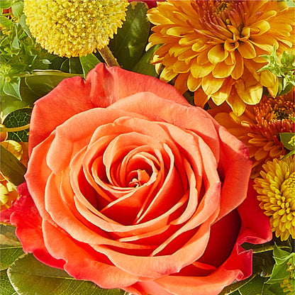 Gourdgeous Pumpkin –  Branch Floral Designs, Nyssa OR