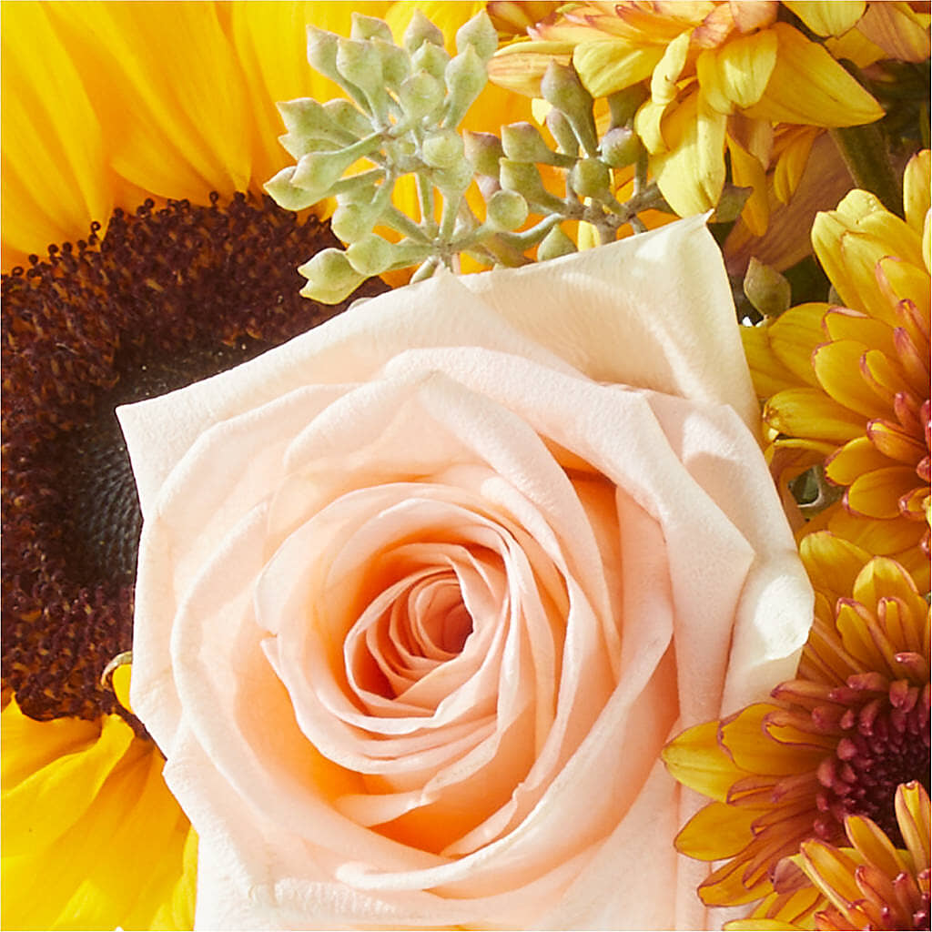 Pumpkin to Talk About Bouquet –  Branch Floral Designs, Nyssa OR