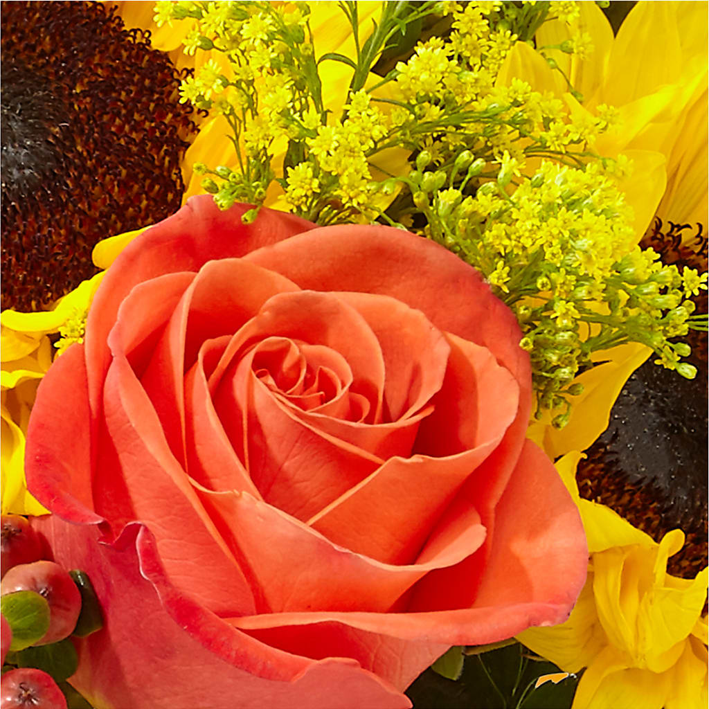 Pick of the Patch Pumpkin Bouquet –  Branch Floral Designs, Nyssa OR