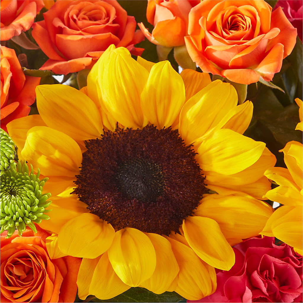 Sun-drenched Blooms Box Bouquet –  Branch Floral Designs, Nyssa OR