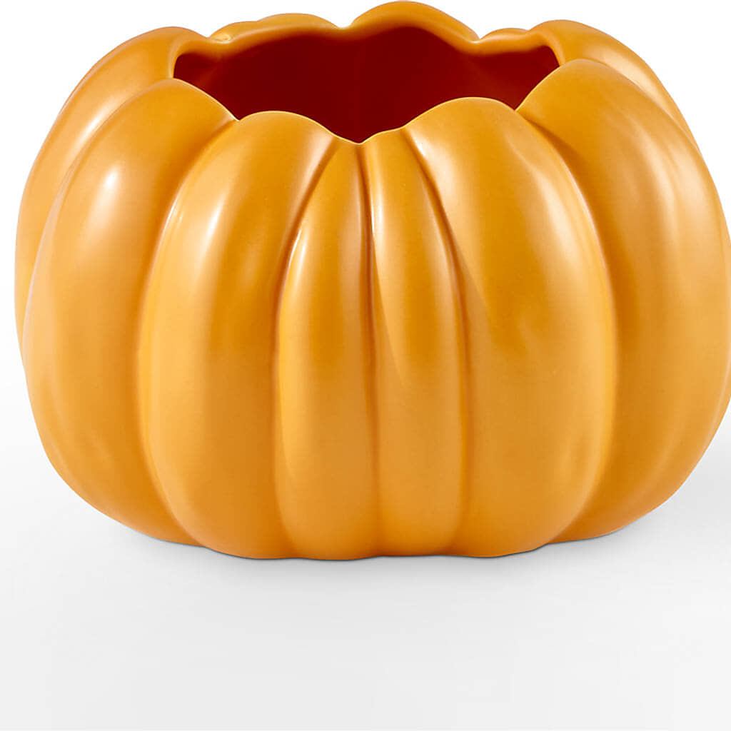 Golden Gourd Pumpkin Bouquet –  Branch Floral Designs, Nyssa OR