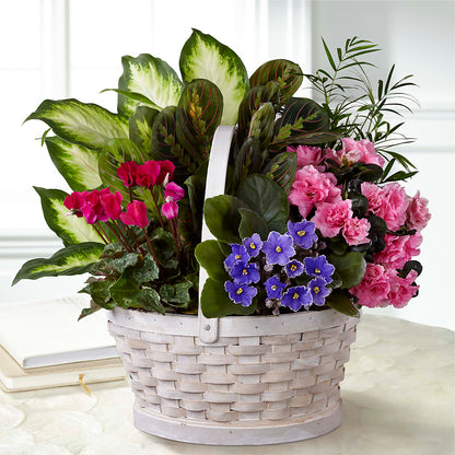 Peaceful Garden Planter –  Branch Floral Designs, Nyssa OR