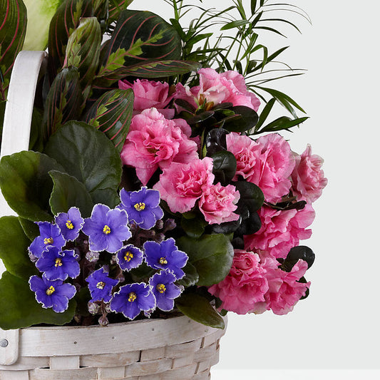 Peaceful Garden Planter –  Branch Floral Designs, Nyssa OR
