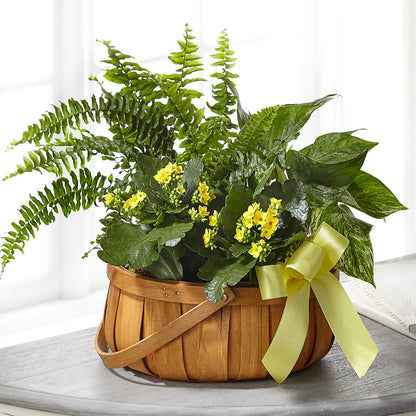 Always Dear Dishgarden –  Branch Floral Designs, Nyssa OR