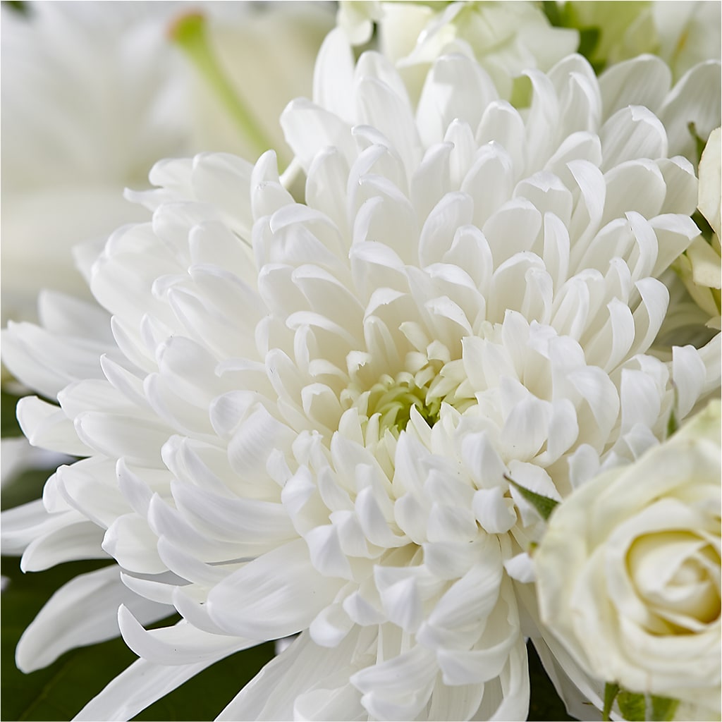 Classic Ivory – A Florist Original –  Branch Floral Designs, Nyssa OR