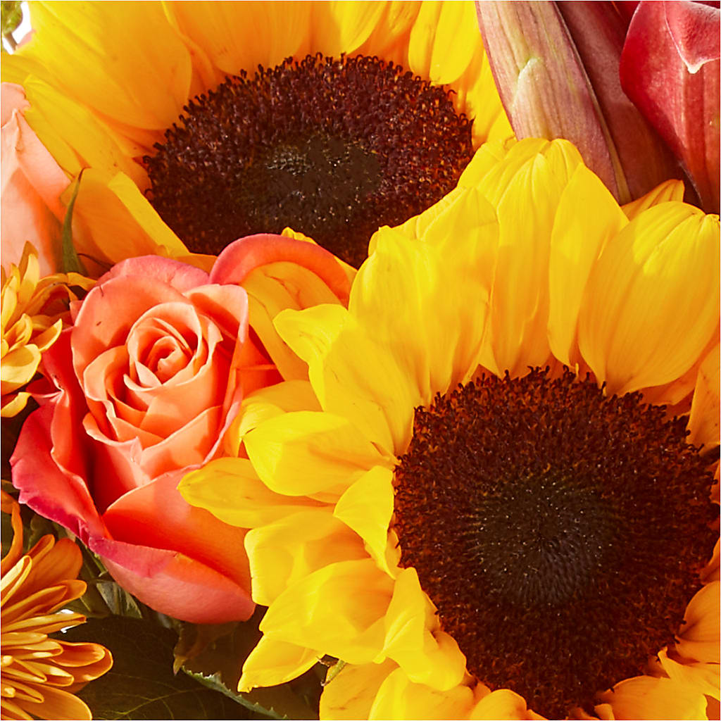 Acorn Lane Bouquet –  Branch Floral Designs, Nyssa OR