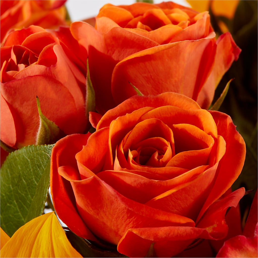 Picnic in the Park Bouquet –  Branch Floral Designs, Nyssa OR