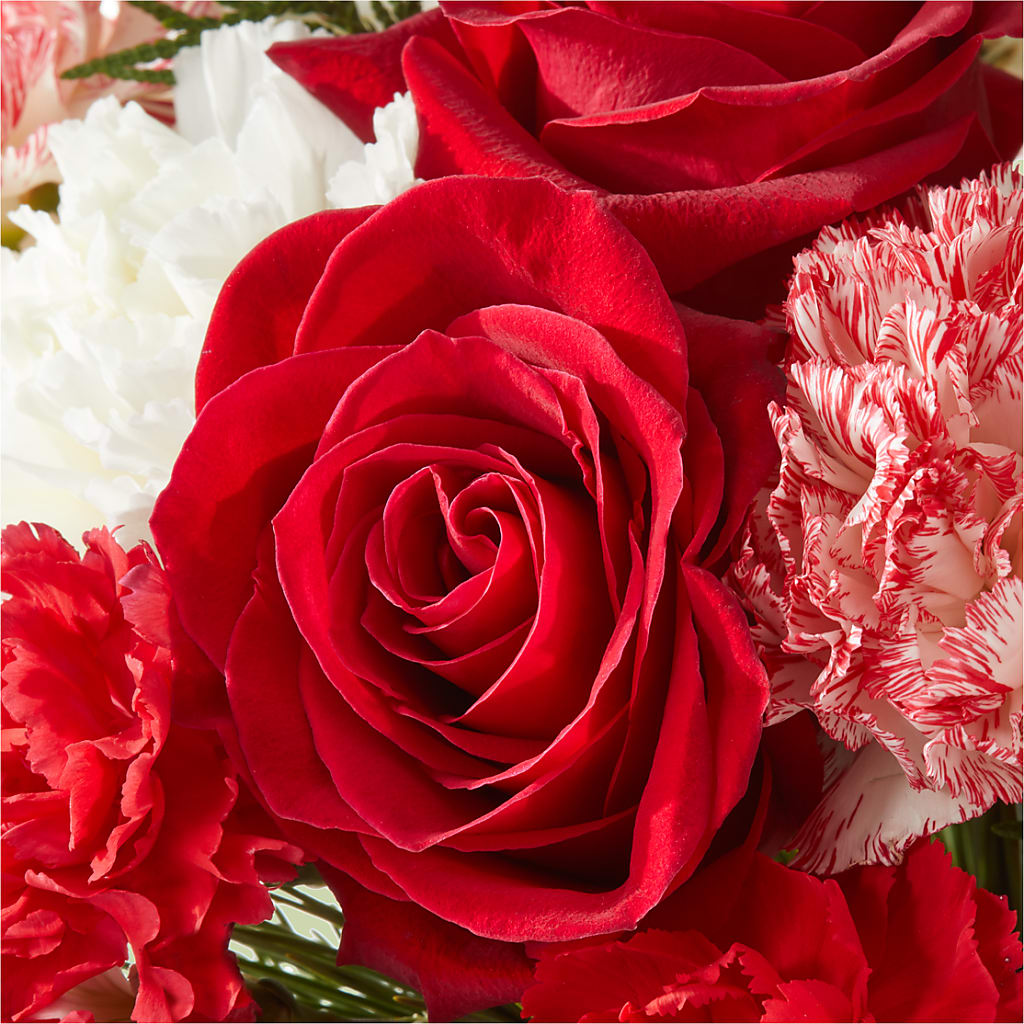 Candy Cane Lane Bouquet –  Branch Floral Designs, Nyssa OR