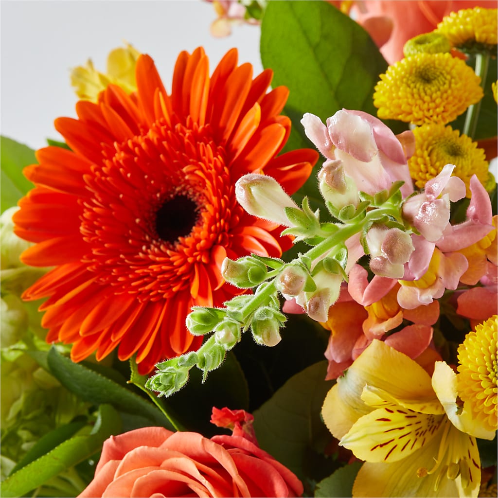 Autumn Sunshine Bouquet –  Branch Floral Designs, Nyssa OR