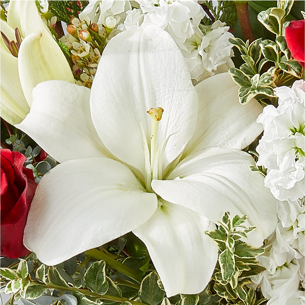 Twinkle Lights Bouquet –  Branch Floral Designs, Nyssa OR