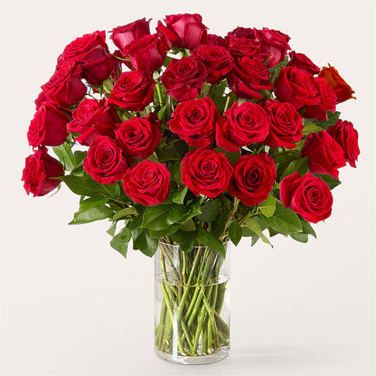 The One Red Rose Bouquet –  Branch Floral Designs, Nyssa OR
