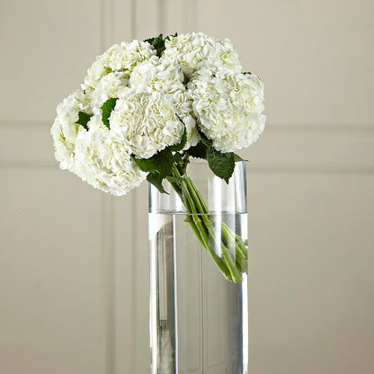 White Hydrangea Hand-Tied Bouquet –  Branch Floral Designs, Nyssa OR