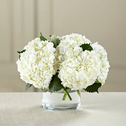 White Hydrangea Bouquet –  Branch Floral Designs, Nyssa OR
